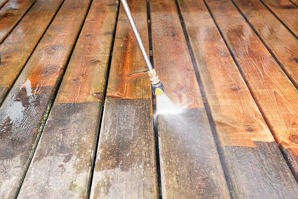 Best Animal Enclosure Cleaning  in Weidman, MI