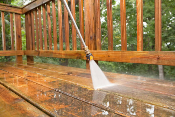 Animal Enclosure Cleaning in Weidman, MI